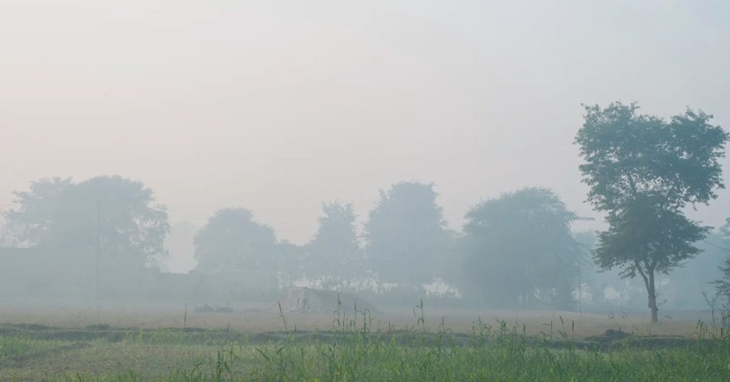 severe smog Pakistan 22 November 2025