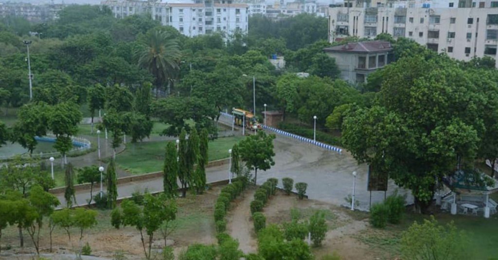 Karachi Safari Park newborn animals