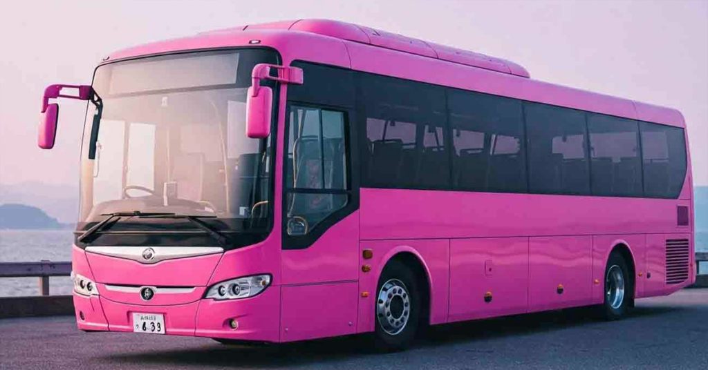 Karachi Pink Bus new route