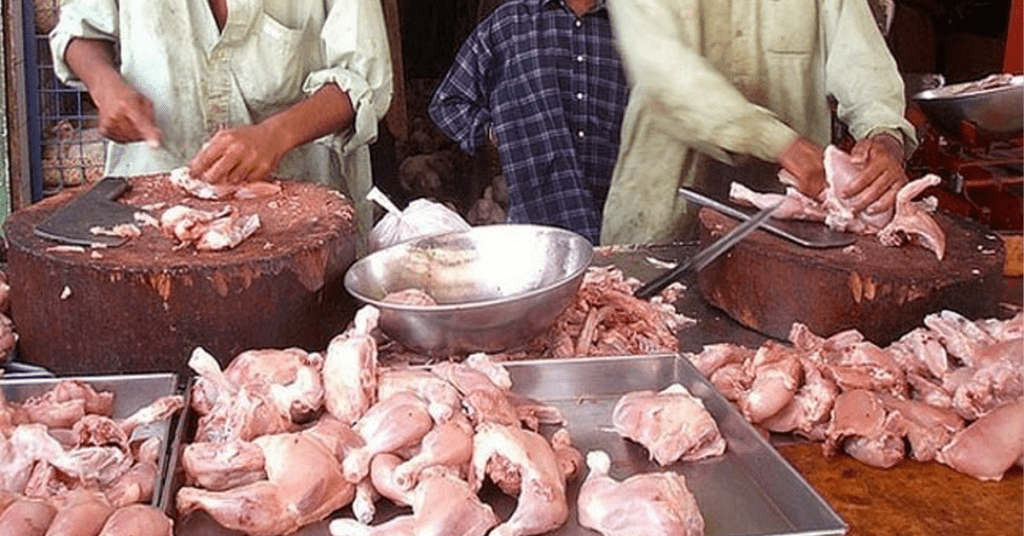 dead chicken seized in Punjab