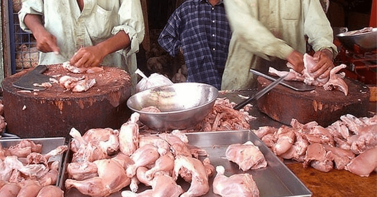 dead chicken seized in Punjab