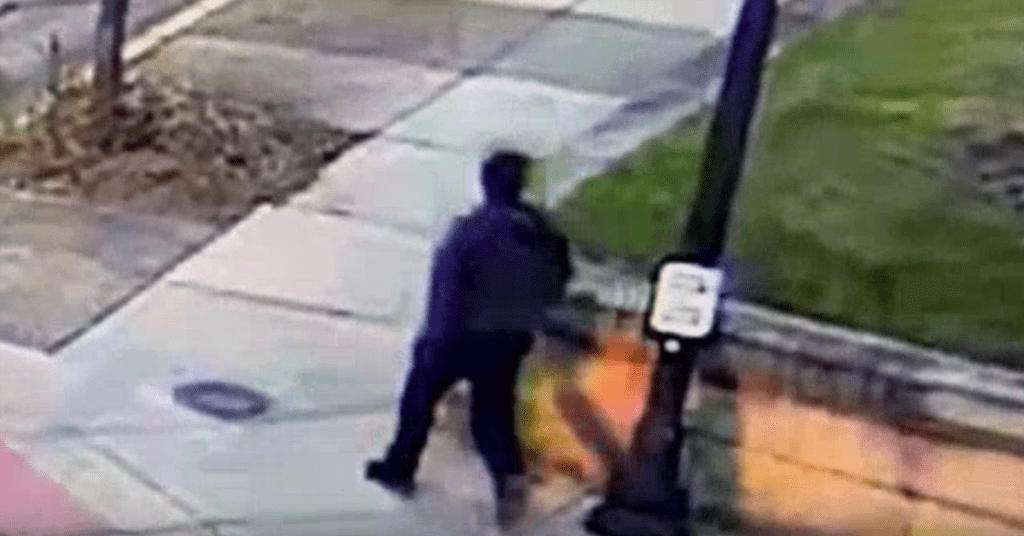 who is Benjamin Erickson