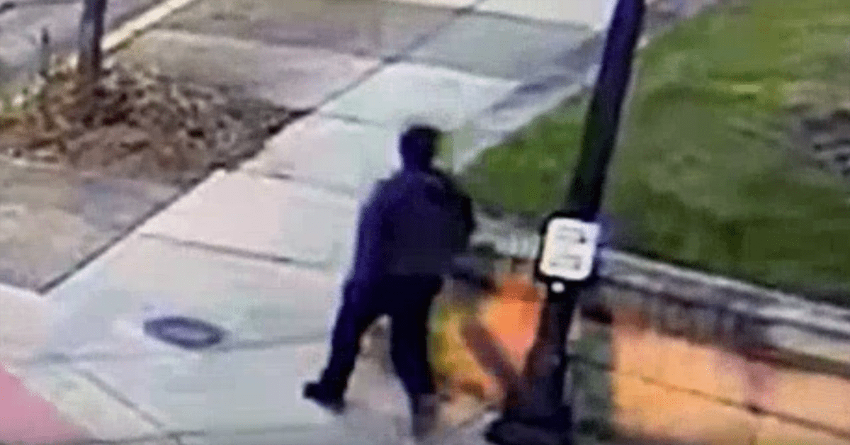 who is Benjamin Erickson