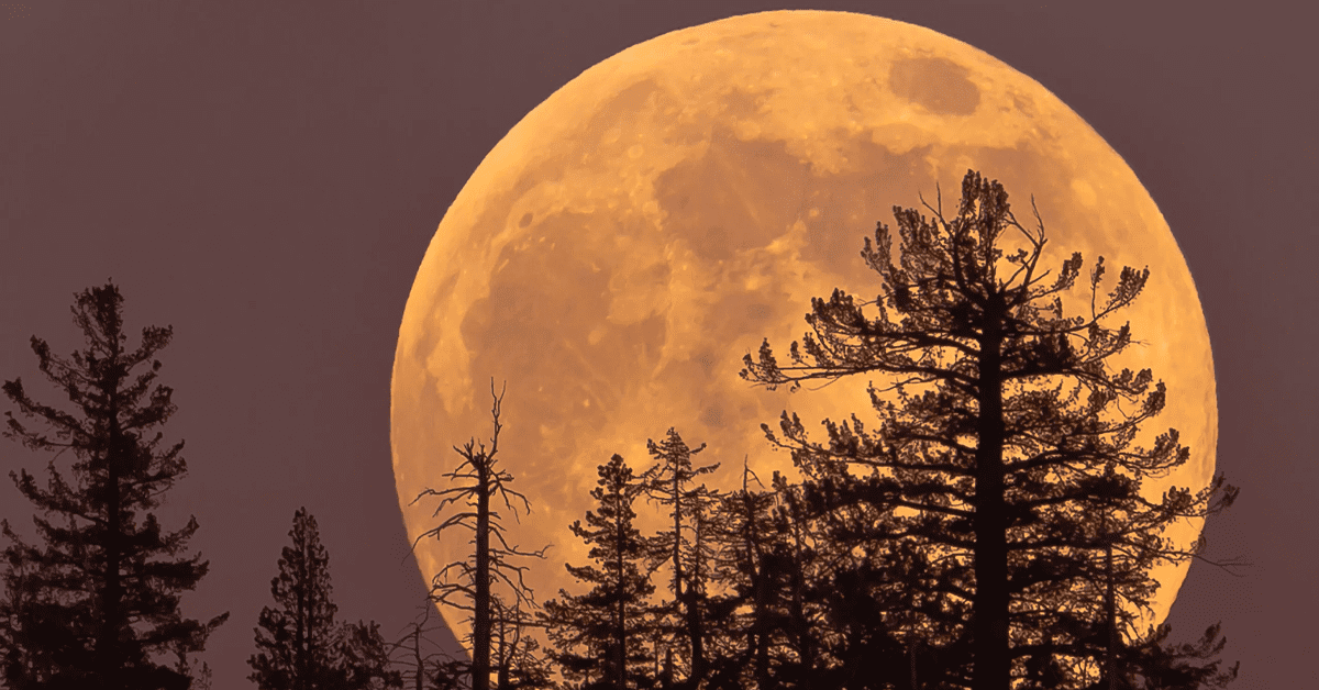 2025 final supermoon