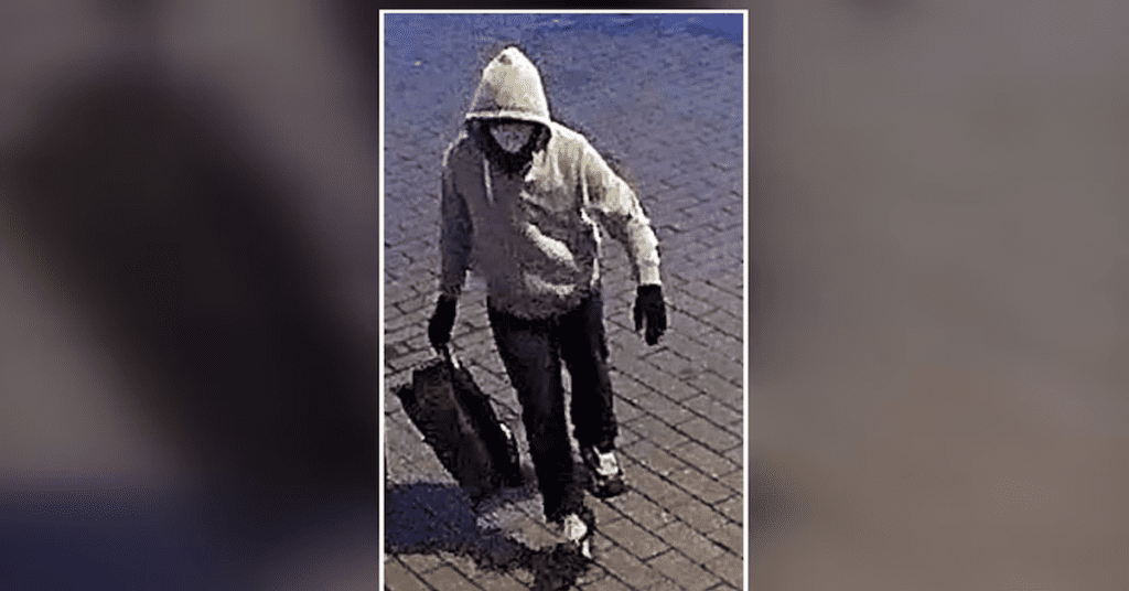 Brian Cole Jr. pipe-bomb arrest