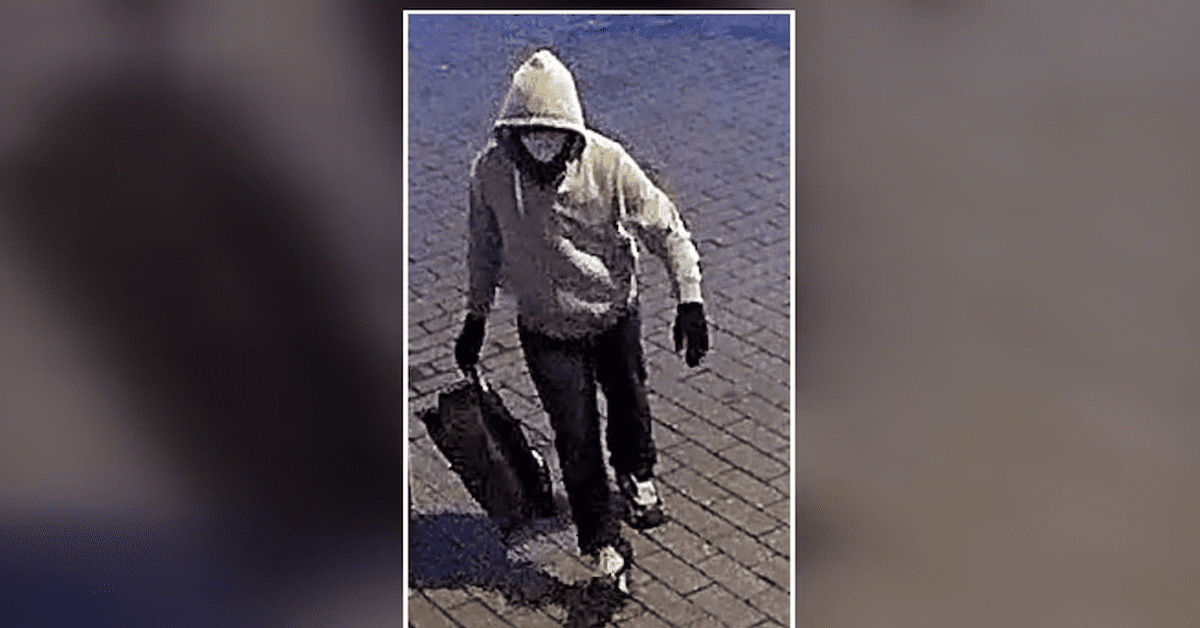 Brian Cole Jr. pipe-bomb arrest