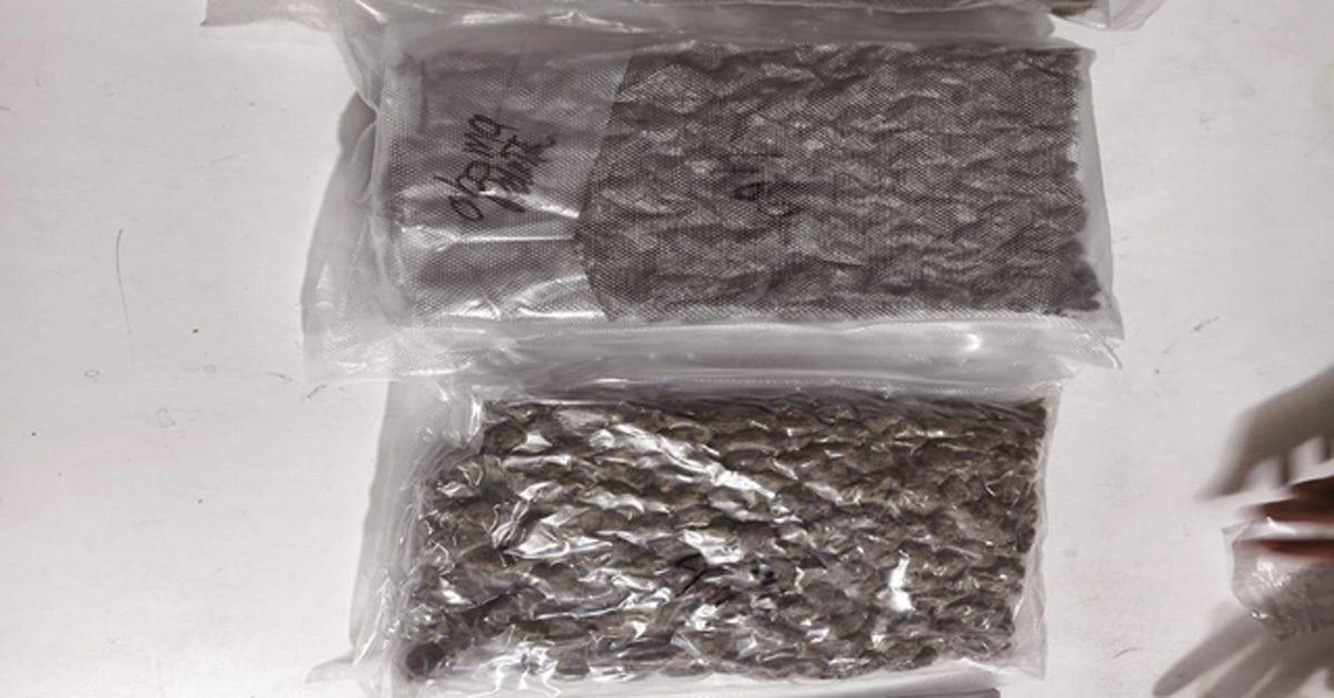 Karachi Airport marijuana seizure