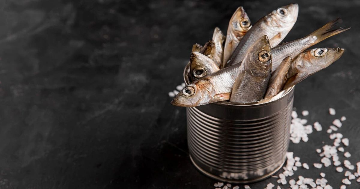 Russia Wants Pakistani Fish: Pakistan’s Seafood Export Opportunity