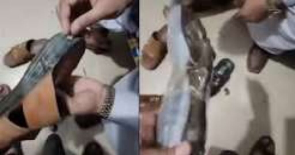 Karachi Drug Smuggling Arrests