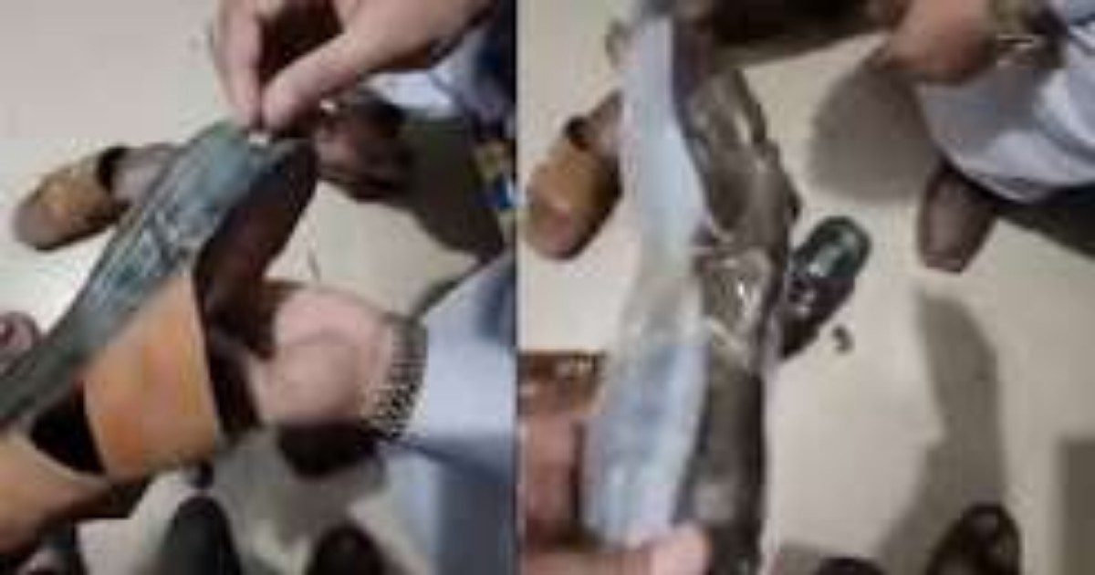Karachi Drug Smuggling Arrests