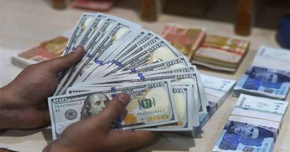 NBP currency rates today